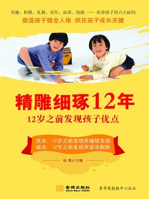 cover image of 精雕细琢12年